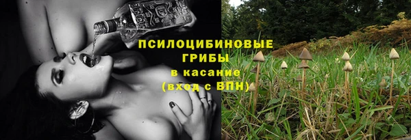 кокс Баксан